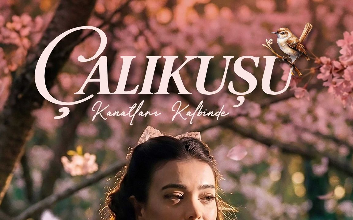 Çalıkuşu - Kanatların Kalbinde etkinlik afişi